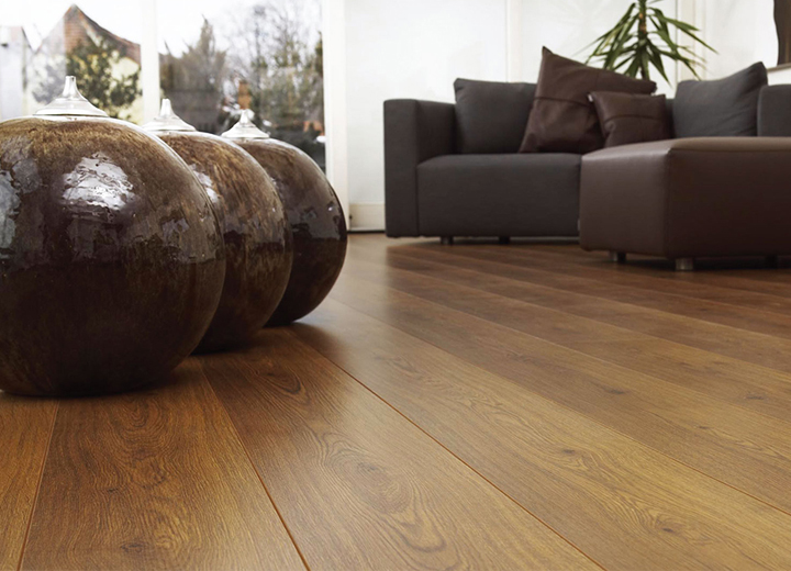 亭亭如蓋，巨樹參天——必美凱得參天大樹加厚系列