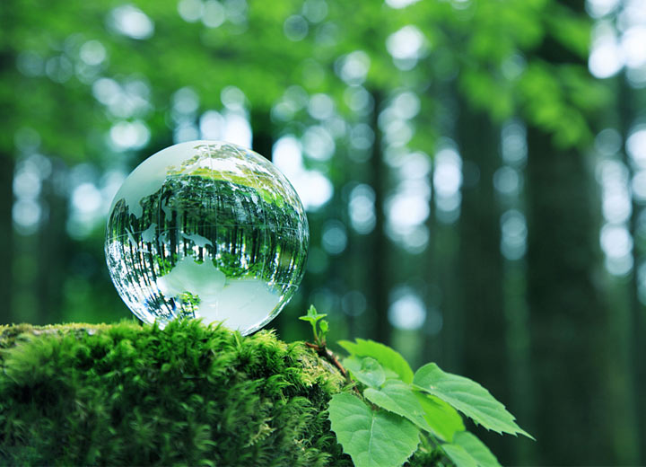 愛家更愛它，凱得地板做真正的地球綠色衛士